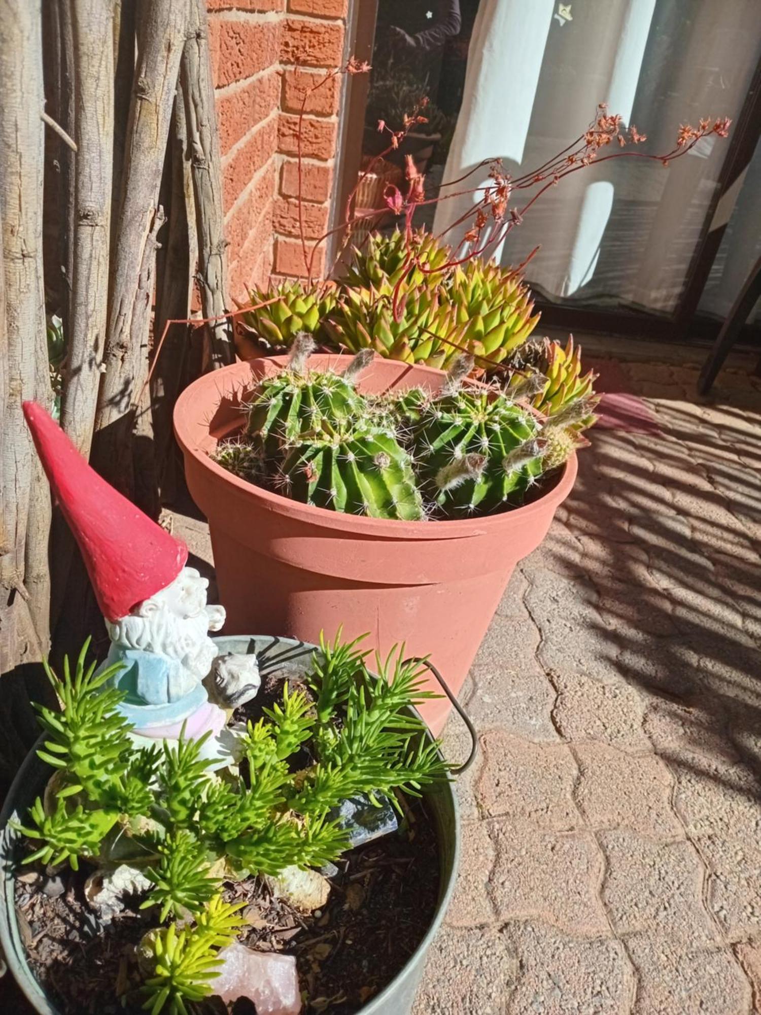 Amani Guest House Clarens Zewnętrze zdjęcie