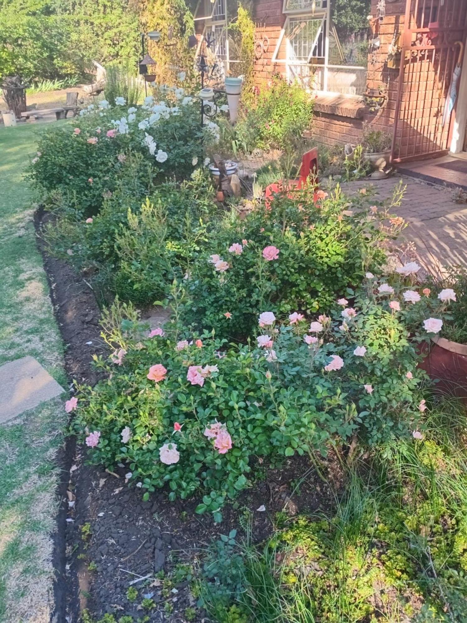Amani Guest House Clarens Zewnętrze zdjęcie